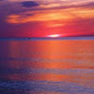 Meet your Posher, Bo